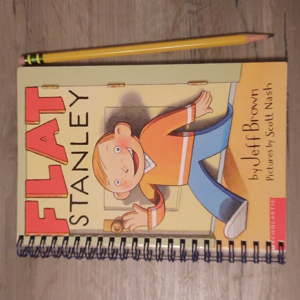 Secret Journal "Flat Stanley" Handmade journal 📚